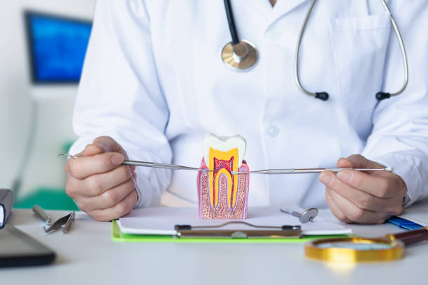 Best Walk-In Emergency Dentist in Palos Heights, IL